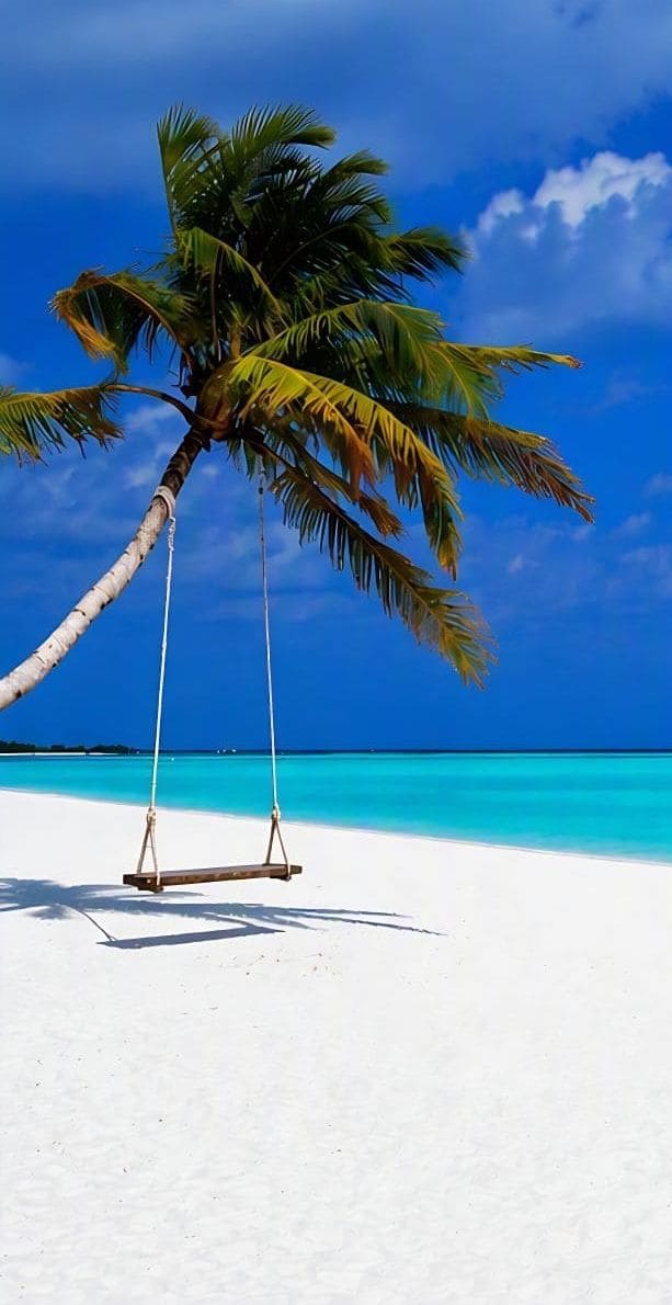 Traumstrand - Günstige Flugreisen und Pauschalreisen Traumstrand mit Palme und Schaukel - Günstige Flugreisen und Pauschalurlaub auf Flugreisen.net